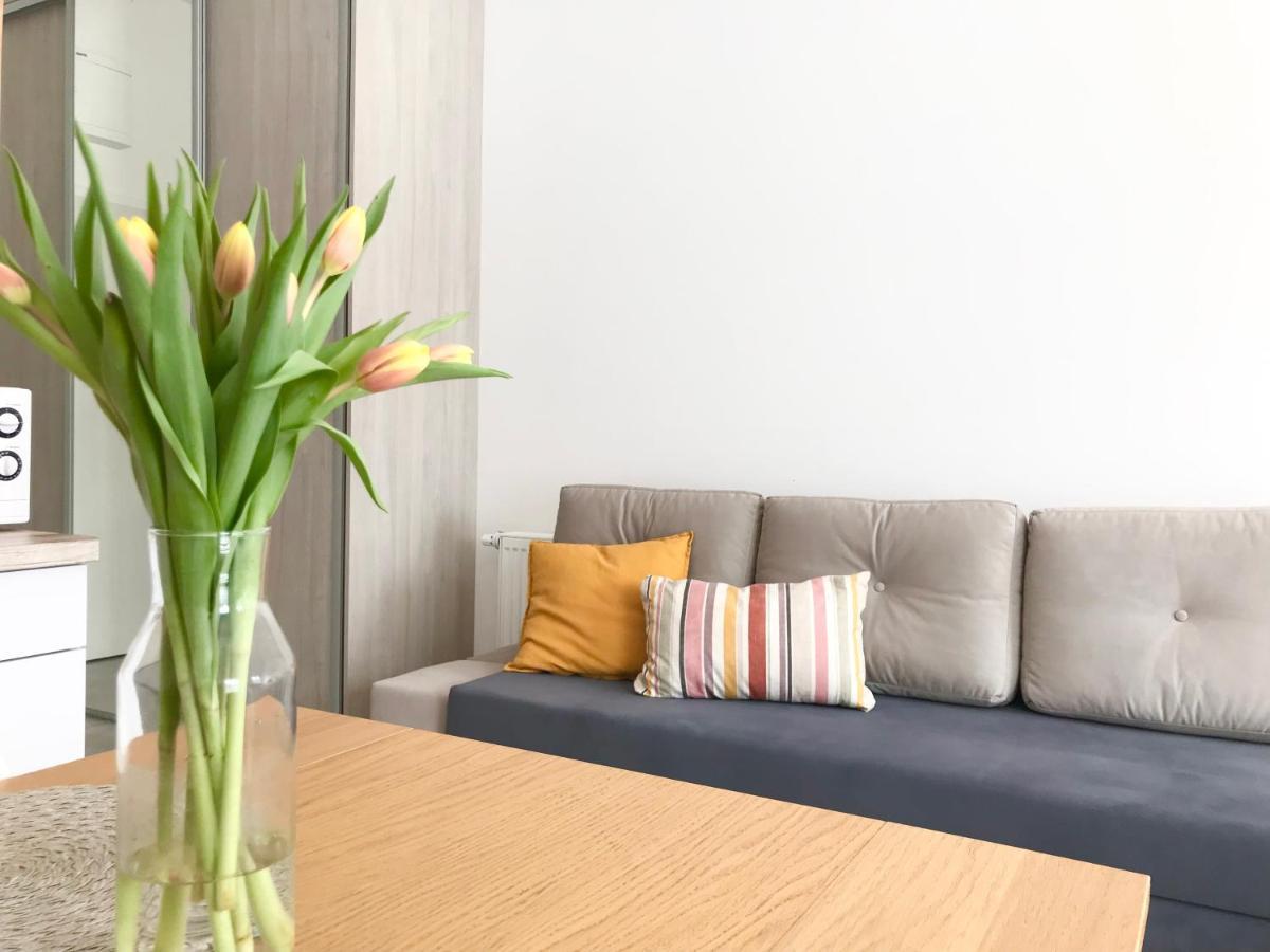 Apartament Czechowska Luxury لوبلين المظهر الخارجي الصورة