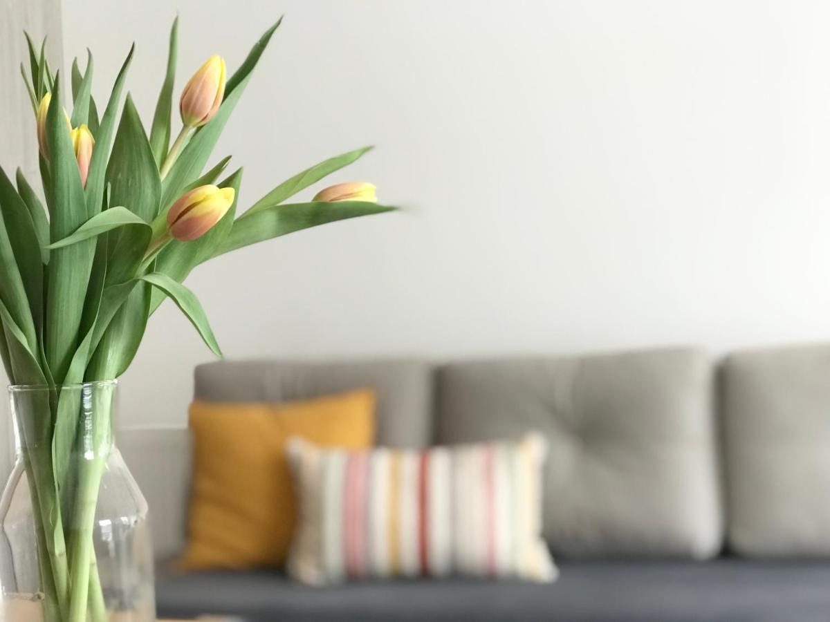 Apartament Czechowska Luxury لوبلين المظهر الخارجي الصورة